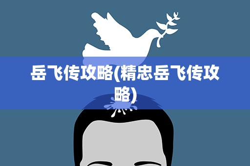 岳飞传攻略(精忠岳飞传攻略)