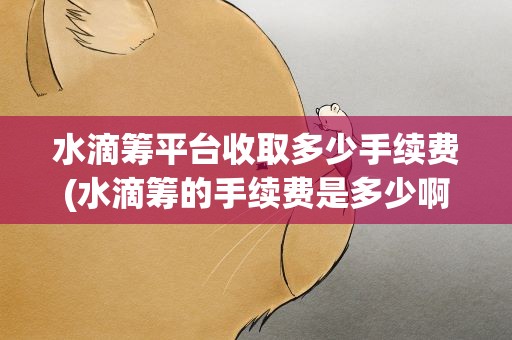 水滴筹平台收取多少手续费(水滴筹的手续费是多少啊)