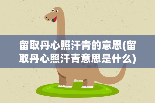 留取丹心照汗青的意思(留取丹心照汗青意思是什么)