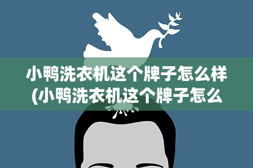 小鸭洗衣机这个牌子怎么样(小鸭洗衣机这个牌子怎么样啊)