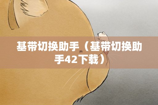 基带切换助手（基带切换助手42下载）