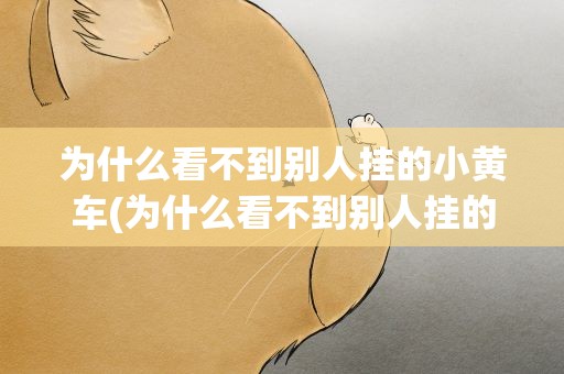 为什么看不到别人挂的小黄车(为什么看不到别人挂的小黄车了)