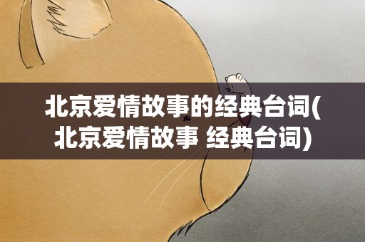 北京爱情故事的经典台词(北京爱情故事 经典台词)