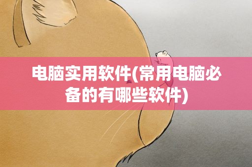 电脑实用软件(常用电脑必备的有哪些软件)