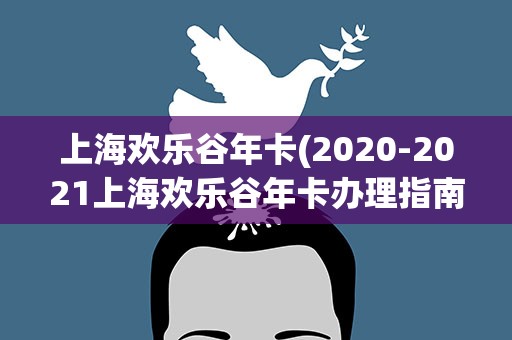 上海欢乐谷年卡(2020-2021上海欢乐谷年卡办理指南)
