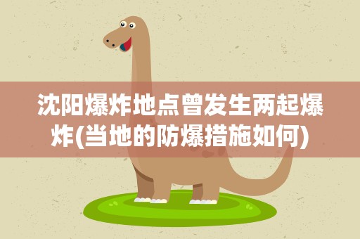 沈阳爆炸地点曾发生两起爆炸(当地的防爆措施如何)