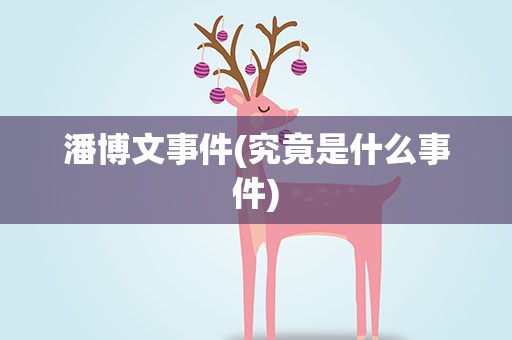 潘博文事件(究竟是什么事件)