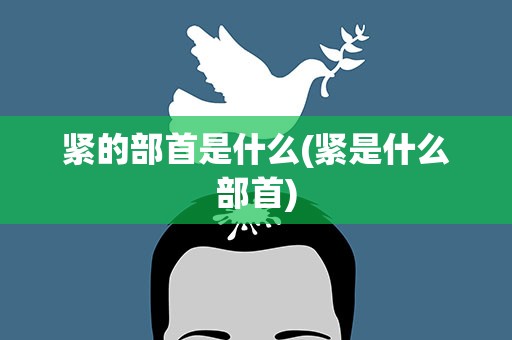 紧的部首是什么(紧是什么部首)
