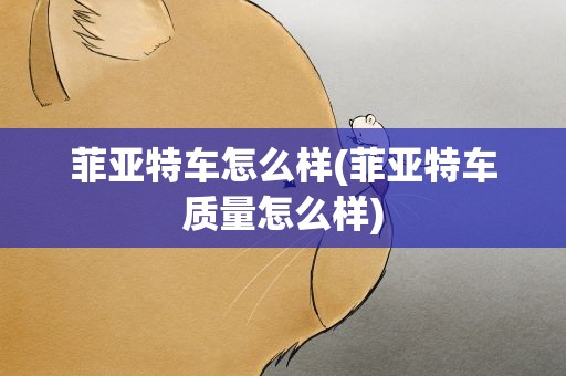 菲亚特车怎么样(菲亚特车质量怎么样)