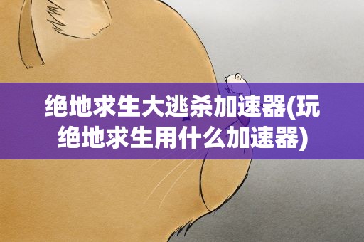 绝地求生大逃杀加速器(玩绝地求生用什么加速器)