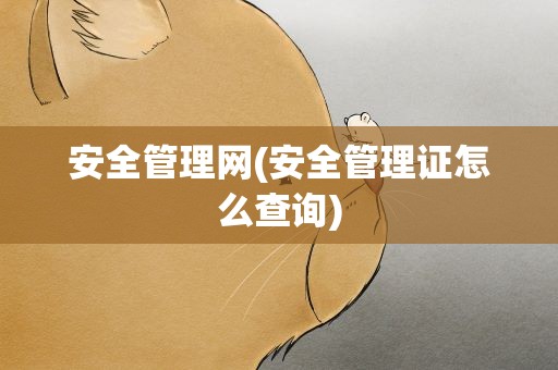 安全管理网(安全管理证怎么查询)