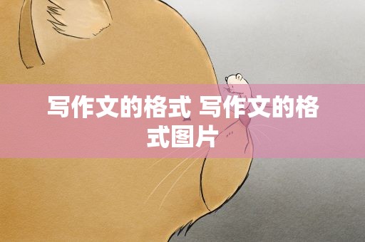 写作文的格式 写作文的格式图片