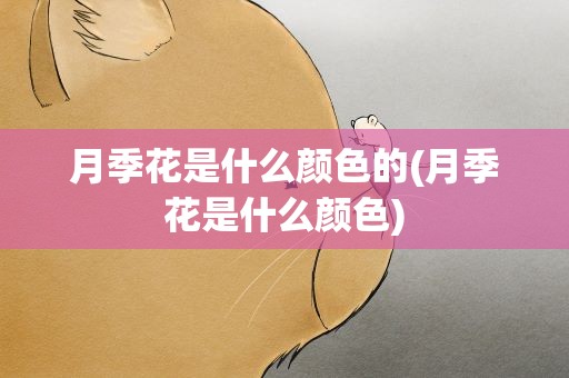 月季花是什么颜色的(月季花是什么颜色)