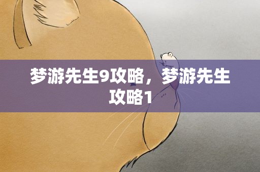 梦游先生9攻略，梦游先生攻略1