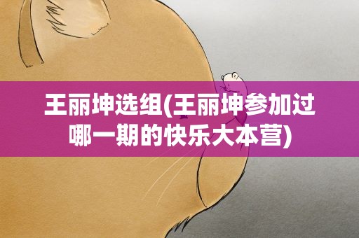 王丽坤选组(王丽坤参加过哪一期的快乐大本营)