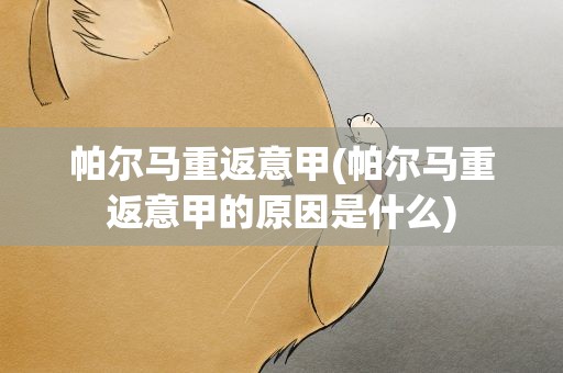 帕尔马重返意甲(帕尔马重返意甲的原因是什么)