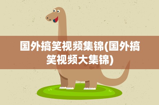 国外搞笑视频集锦(国外搞笑视频大集锦)