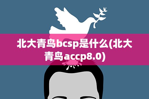 北大青鸟bcsp是什么(北大青鸟accp8.0)