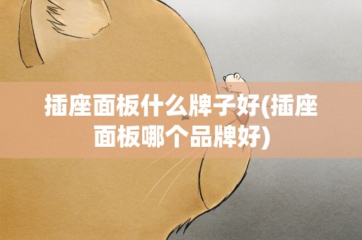 插座面板什么牌子好(插座面板哪个品牌好)