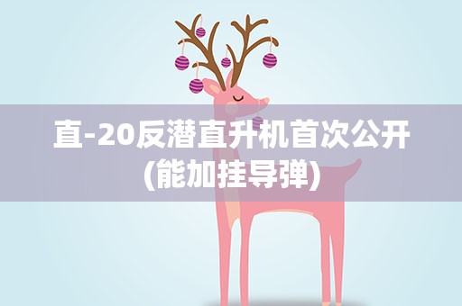 直-20反潜直升机首次公开(能加挂导弹)