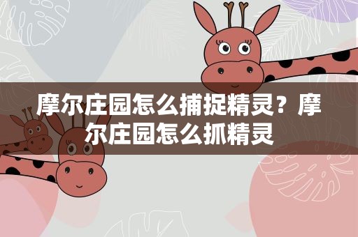 摩尔庄园怎么捕捉精灵？摩尔庄园怎么抓精灵