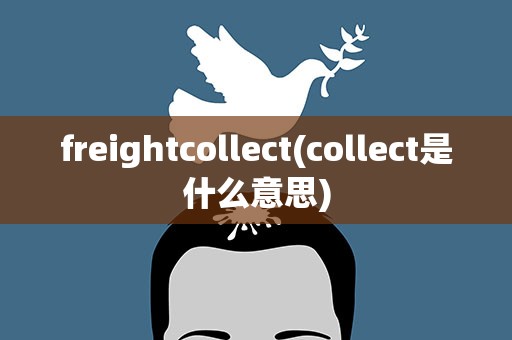 freightcollect(collect是什么意思)