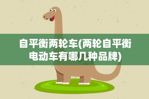 自平衡两轮车(两轮自平衡电动车有哪几种品牌)