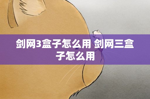 剑网3盒子怎么用 剑网三盒子怎么用