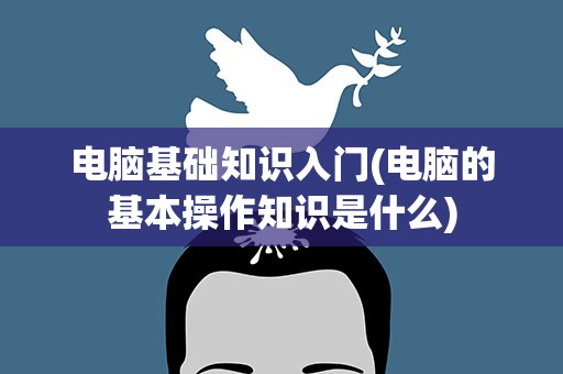 电脑基础知识入门(电脑的基本操作知识是什么)