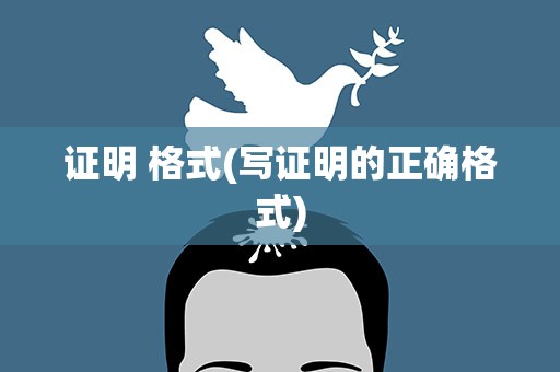 证明 格式(写证明的正确格式)