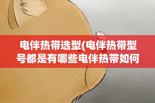 电伴热带选型(电伴热带型号都是有哪些电伴热带如何选择)
