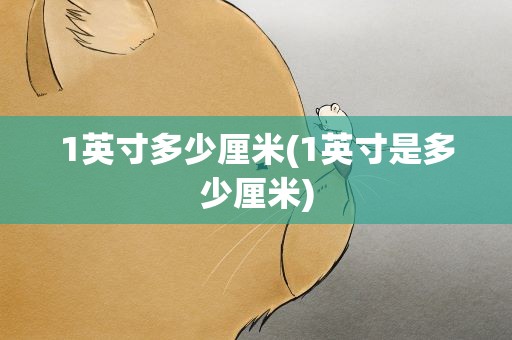 1英寸多少厘米(1英寸是多少厘米)