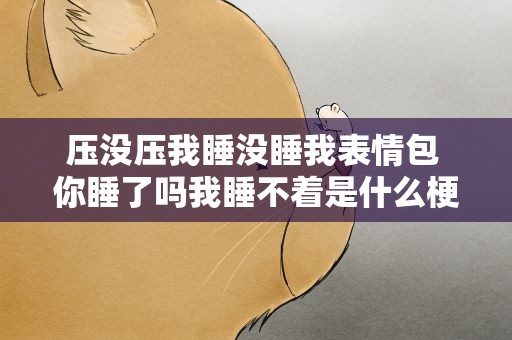 压没压我睡没睡我表情包 你睡了吗我睡不着是什么梗