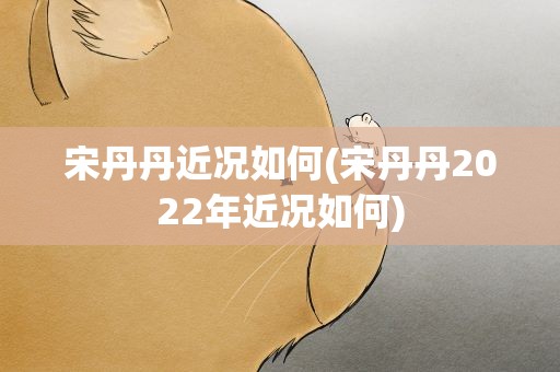宋丹丹近况如何(宋丹丹2022年近况如何)