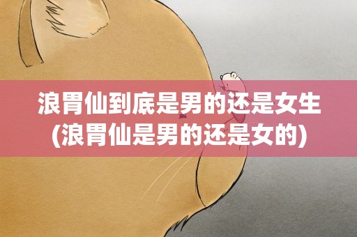 浪胃仙到底是男的还是女生(浪胃仙是男的还是女的)