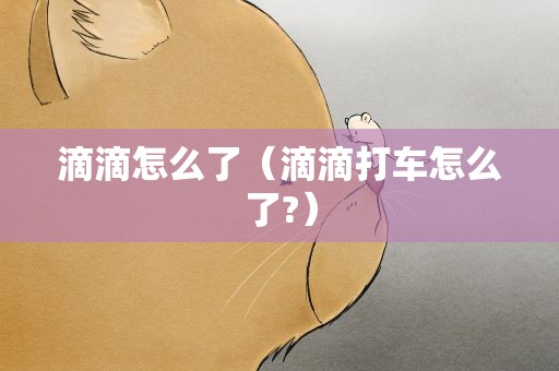 滴滴怎么了（滴滴打车怎么了?）