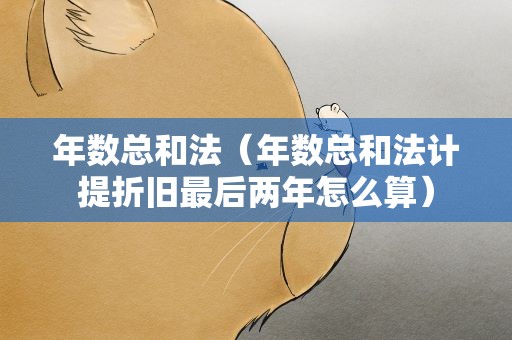 年数总和法（年数总和法计提折旧最后两年怎么算）