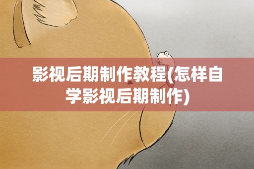 影视后期制作教程(怎样自学影视后期制作)