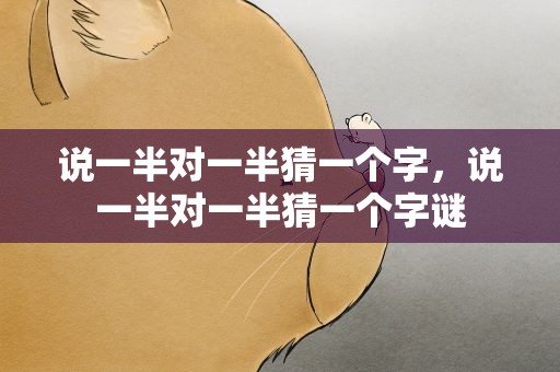 说一半对一半猜一个字，说一半对一半猜一个字谜
