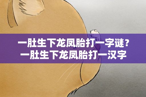 一肚生下龙凤胎打一字谜？一肚生下龙凤胎打一汉字
