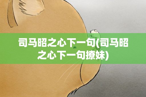 司马昭之心下一句(司马昭之心下一句撩妹)