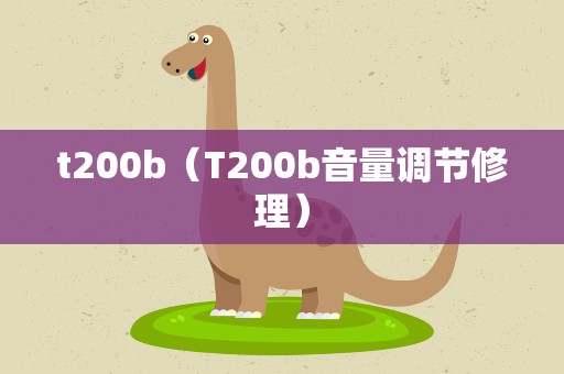 t200b（T200b音量调节修理）
