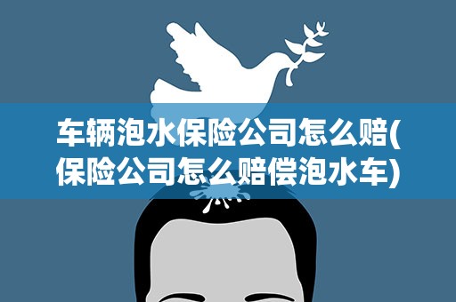 车辆泡水保险公司怎么赔(保险公司怎么赔偿泡水车)
