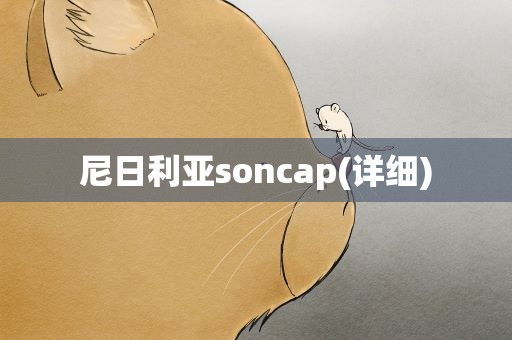 尼日利亚soncap(详细)