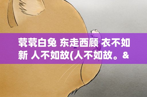 茕茕白兔 东走西顾 衣不如新 人不如故(人不如故。&amp;quot; 全诗)