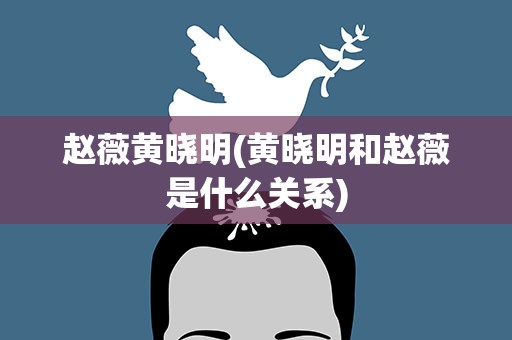 赵薇黄晓明(黄晓明和赵薇是什么关系)