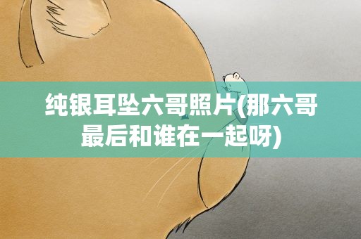 纯银耳坠六哥照片(那六哥最后和谁在一起呀)