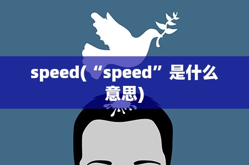 speed(“speed”是什么意思)