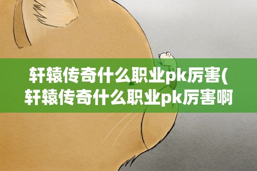 轩辕传奇什么职业pk厉害(轩辕传奇什么职业pk厉害啊)