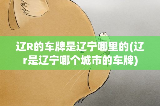 辽R的车牌是辽宁哪里的(辽r是辽宁哪个城市的车牌)
